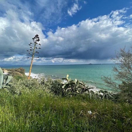 La Casina A Piombino 아파트 외부 사진