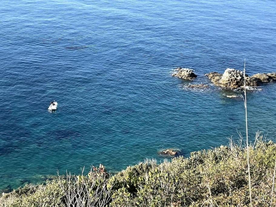 La Casina A Piombino 아파트 외부 사진
